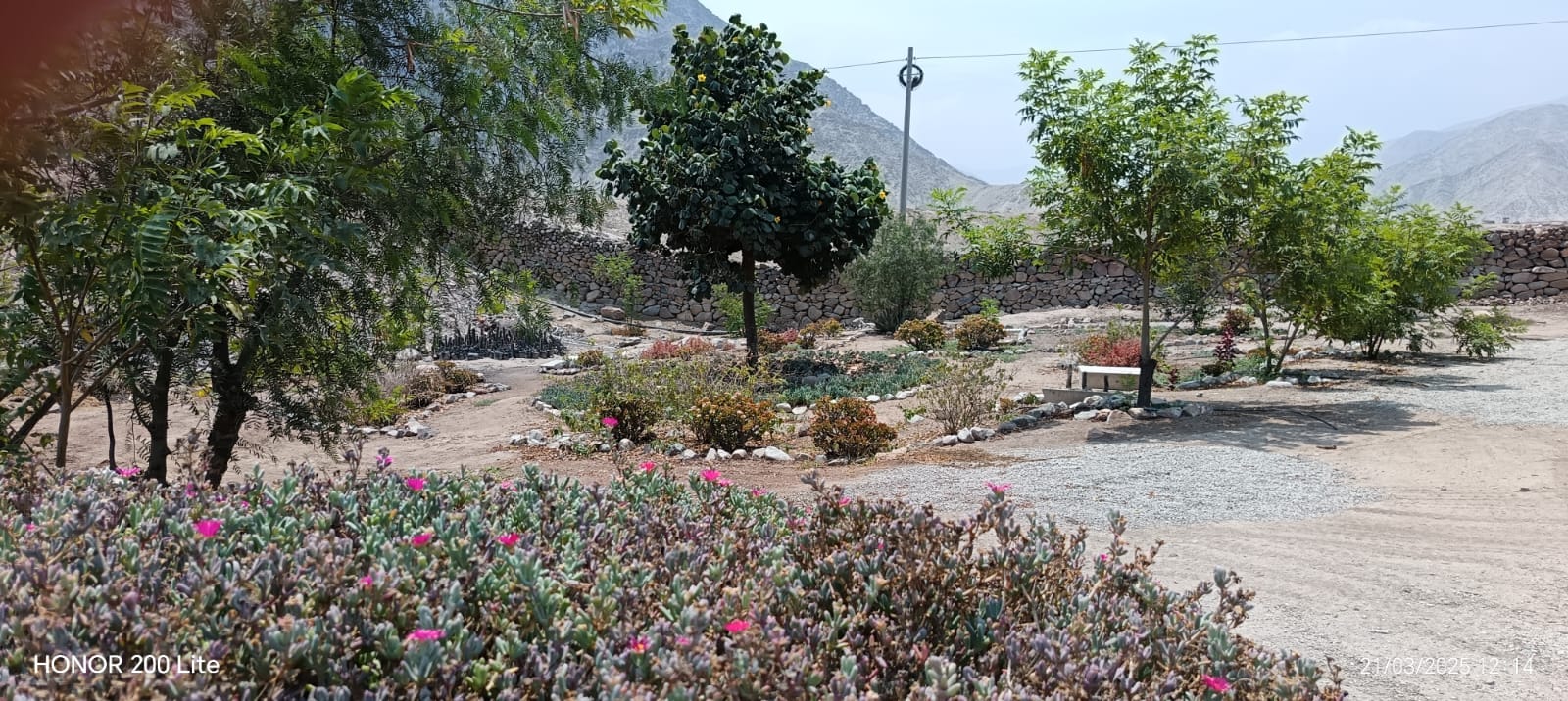 Área verde 2